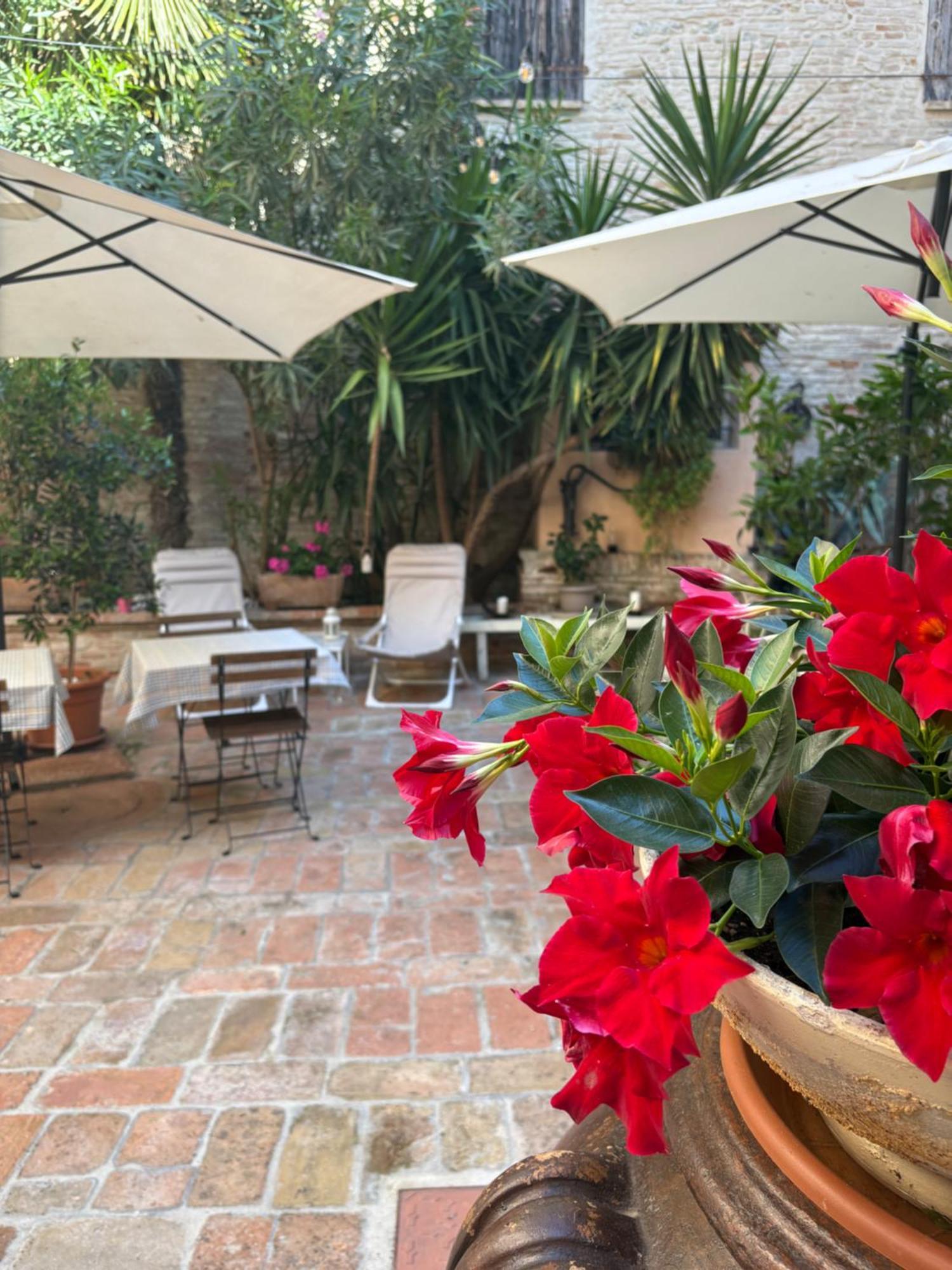 Longiano Relais B&B Corte Dei Turchi מראה חיצוני תמונה